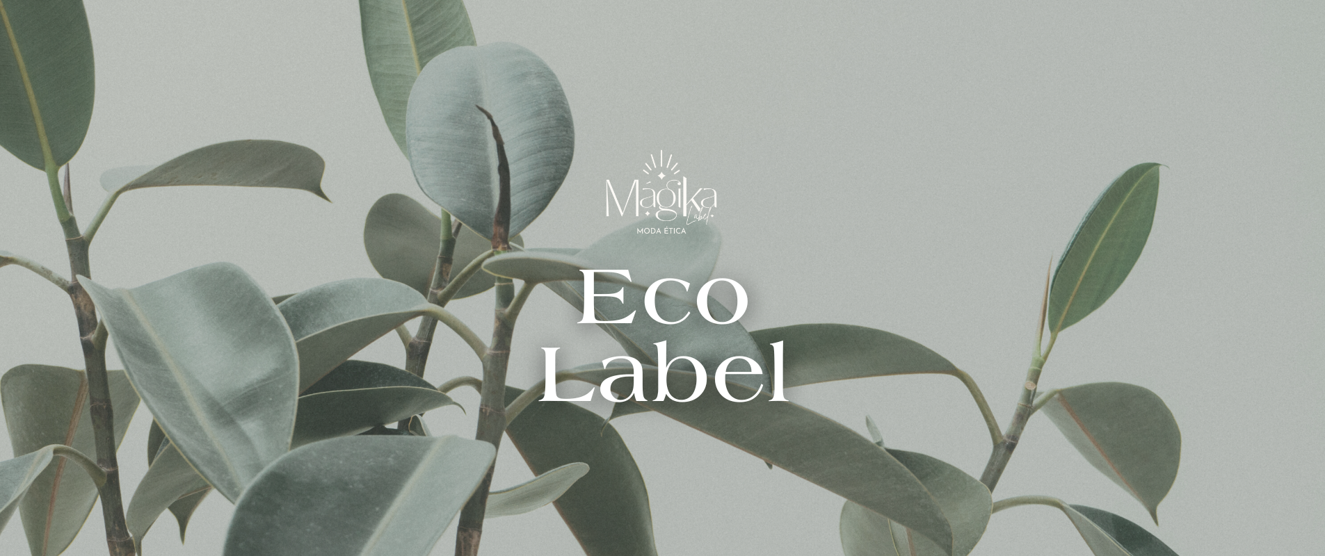 Mágika label es una marca Chilena de ropa mujer ecológica y sustentable.